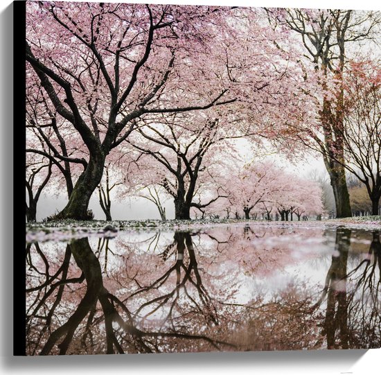 WallClassics - Canvas - Beautiful Blossom Arbres - 60x60 cm Tableau sur Toile (Décoration murale sur Toile)