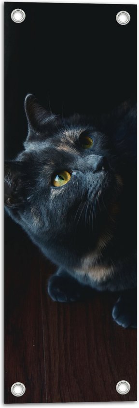 WallClassics - Tuinposter – Zwarte Kat - 20x60 cm Foto op Tuinposter  (wanddecoratie voor buiten en binnen)