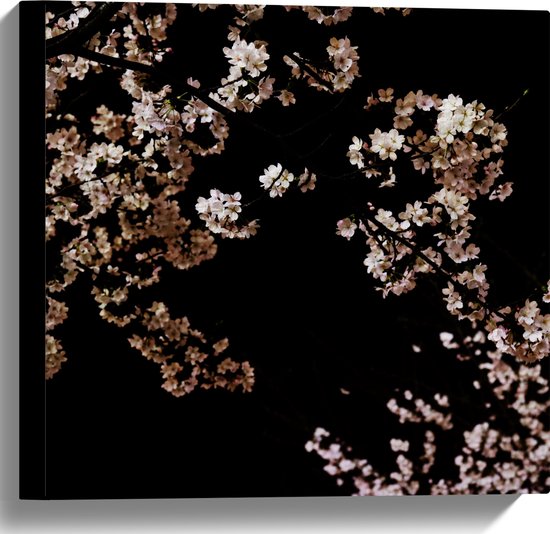 WallClassics - Canvas  - Wit met Roze Bloementjes met Zwarte Achtergrond - 40x40 cm Foto op Canvas Schilderij (Wanddecoratie op Canvas)