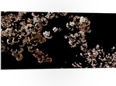 WallClassics - PVC Schuimplaat - Wit met Roze Bloementjes met Zwarte Achtergrond - 100x50 cm Foto op PVC Schuimplaat (Met Ophangsysteem)