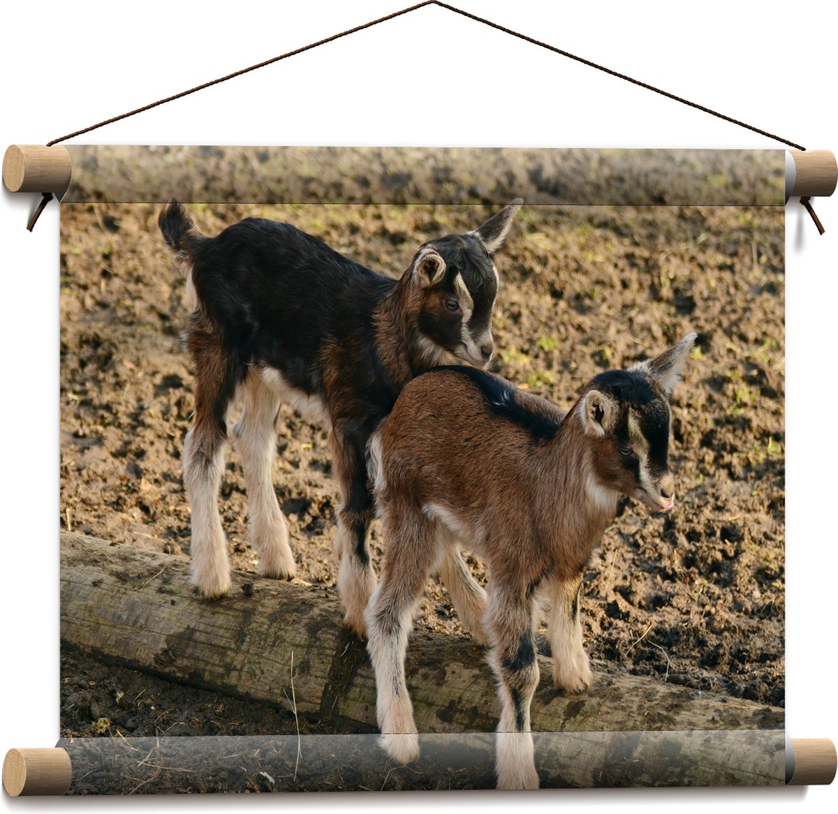 Textielposter - Twee Baby Geitjes op een Boomstam - 40x30 cm Foto op Textiel
