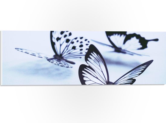 WallClassics - PVC Schuimplaat - Zwarte Vlinders op Witte Achtergrond - 60x20 cm Foto op PVC Schuimplaat (Met Ophangsysteem)