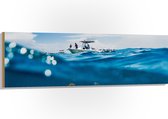 WallClassics - Hout - Scheiding van Water en Lucht - Vissen onder een Boot - 150x50 cm - 12 mm dik - Foto op Hout (Met Ophangsysteem)