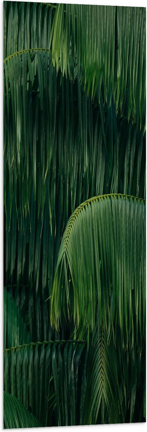 WallClassics - Vlag - Groene Plant met Lange Bladeren - 40x120 cm Foto op Polyester Vlag