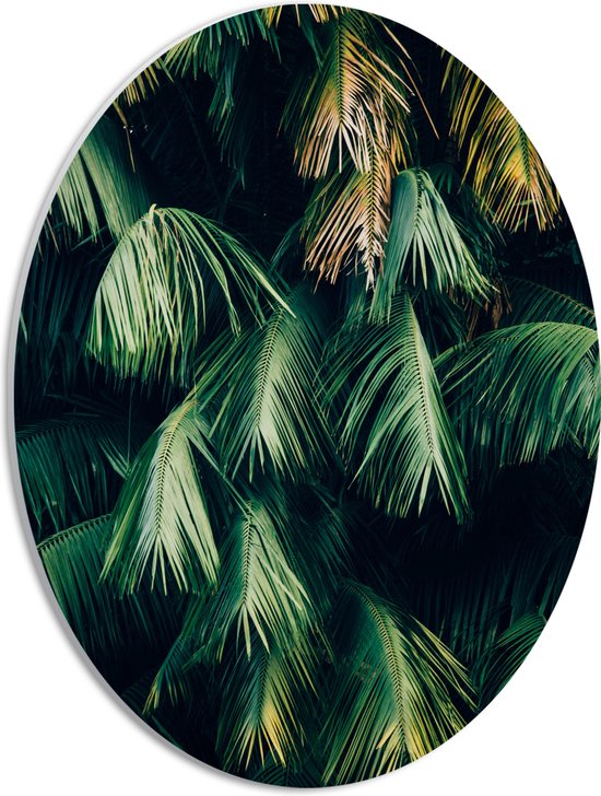 WallClassics - PVC Schuimplaat Ovaal - Hangende Groene Bladeren - 30x40 cm Foto op Ovaal  (Met Ophangsysteem)
