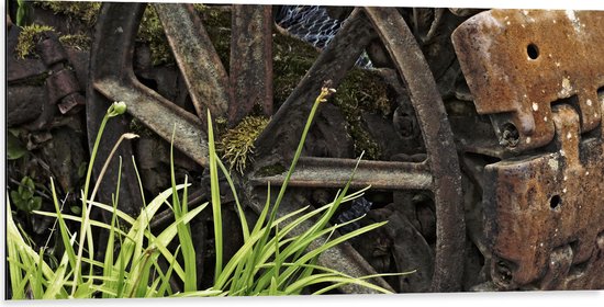 WallClassics - Dibond - Roue Rouille avec Mousse - Photo 100x50 cm sur Aluminium (Avec Système d'accrochage)