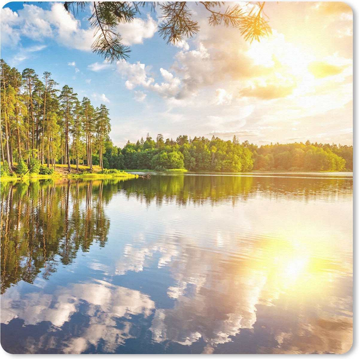 Muismat 30x30 cm - Mousepad Bomen - Water - Zon - Muismatten