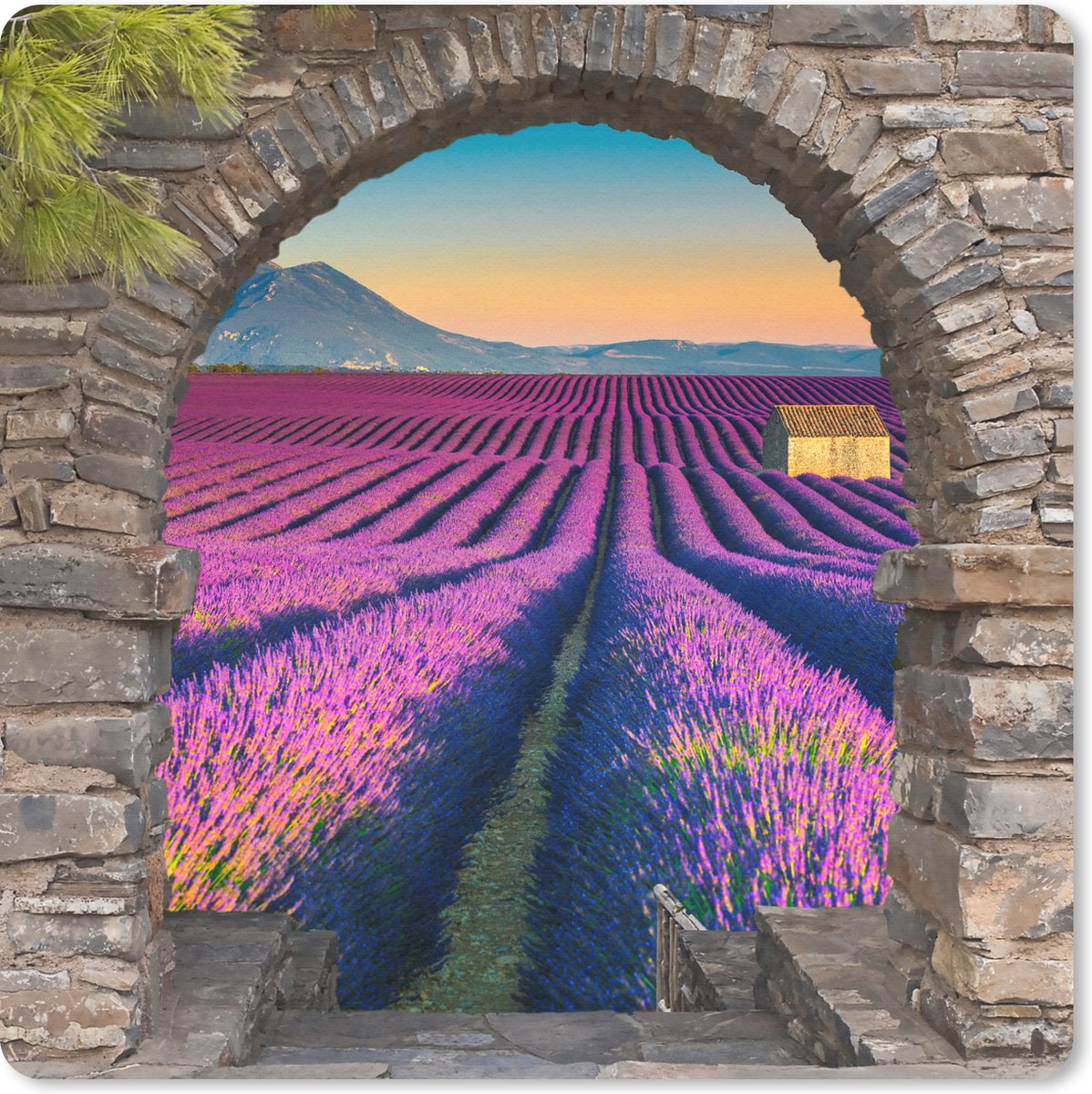 Muismat 20x20 cm - Mousepad Lavendel - Avond - Doorkijk - Bloemen - Muismatten