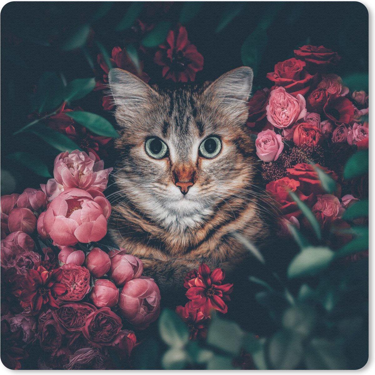 Muismat 20x20 cm - Mousepad Kat - Bloemen - Dieren - Botanisch - Muismatten