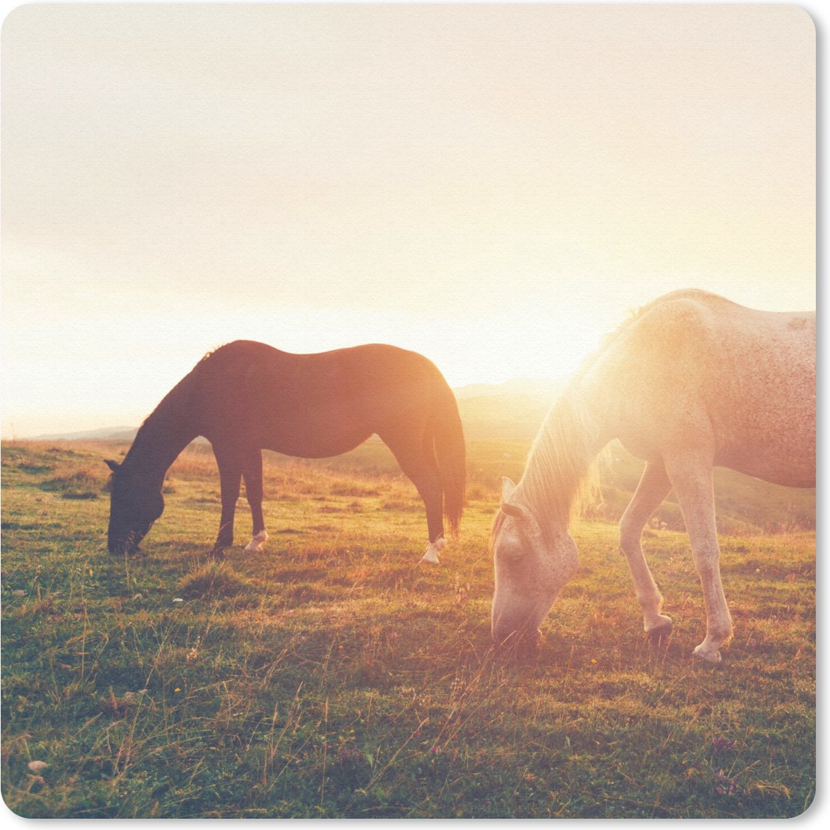 Muismat 20x20 cm - Mousepad Paarden - Zon - Dieren - Muismatten