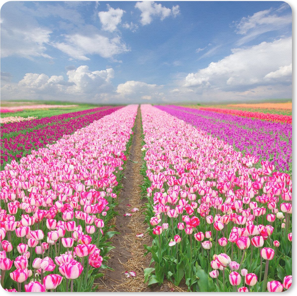 Muismat 30x30 cm - Mousepad Tulpen - Zon - Lente - Muismatten