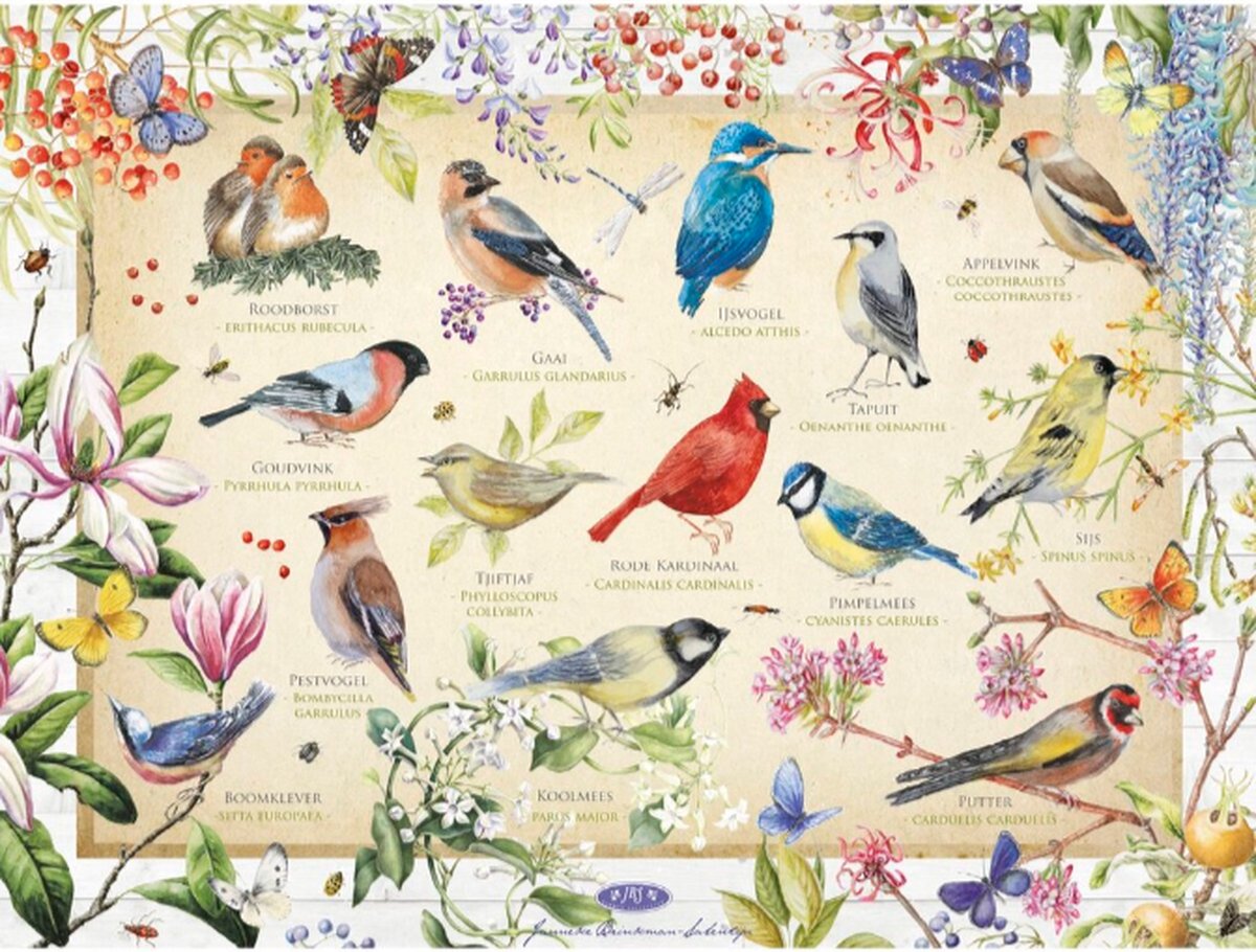 Jumbo Premium Collection Puzzel Janneke Brinkman: Birds & Flowers - Legpuzzel - 950 stukjes