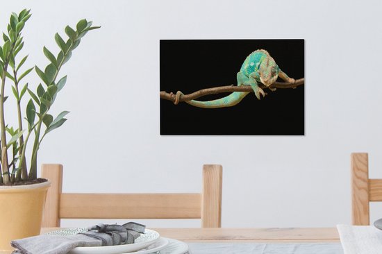 Studio shot caméléon sur toile branche 2cm 30x20 cm - petit - Tirage photo sur toile (Décoration murale salon / chambre) / animaux sauvages Peintures sur toile