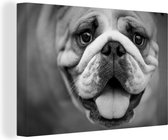 Bulldog profil animalier en toile noir et blanc 2cm 30x20 cm - petit - Tirage photo sur toile (Décoration murale salon / chambre)