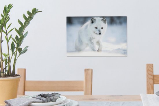 Arctic Fox traverse la neige 30x20 cm - petit - Tirage photo sur toile (Décoration murale salon / chambre) / animaux sauvages Peintures sur toile