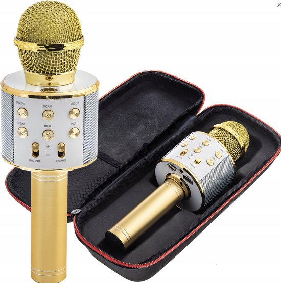 Microphone Enfant, Micro Karaoké sans Fil Bluetooth pour Cadeau