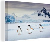 Canvas Schilderij Drie pinguïns - 30x20 cm - Wanddecoratie