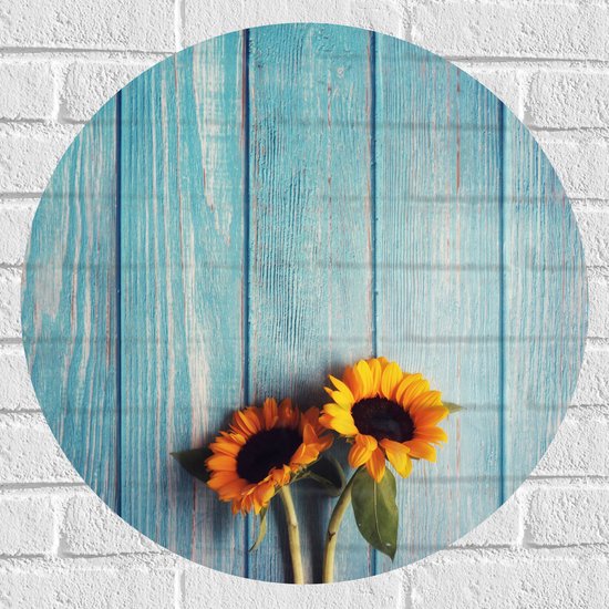 WallClassics - Muursticker Cirkel - Zonnebloemen met Blauwe Schutting - 60x60 cm Foto op Muursticker