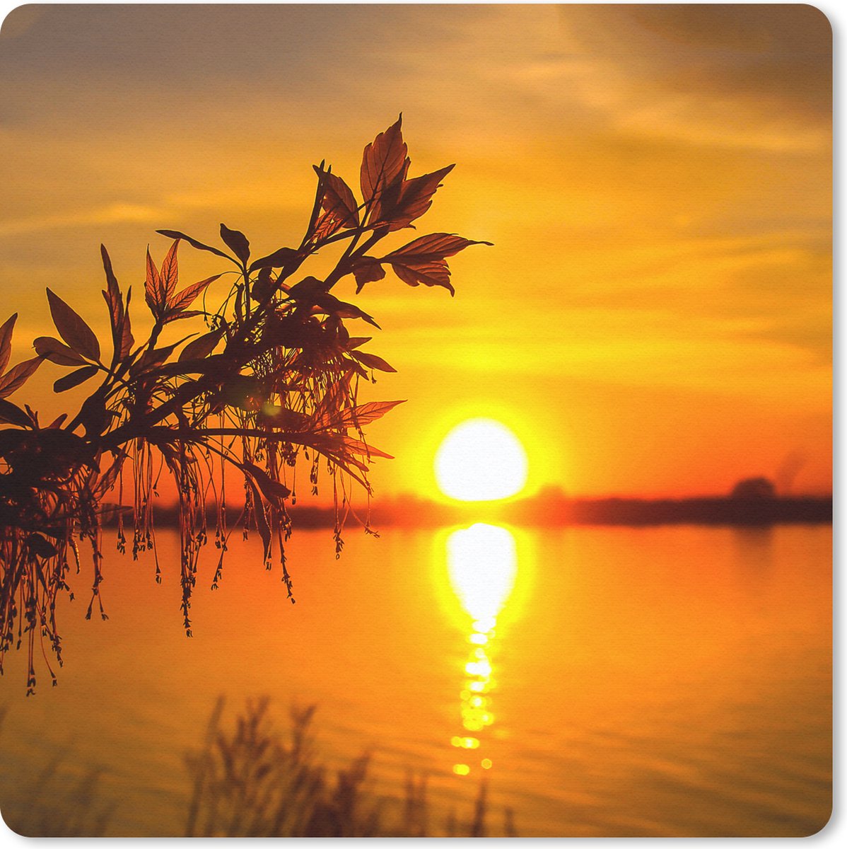 Muismat 20x20 cm - Mousepad Zonsondergang - Water - Planten - Oranje - Muismatten