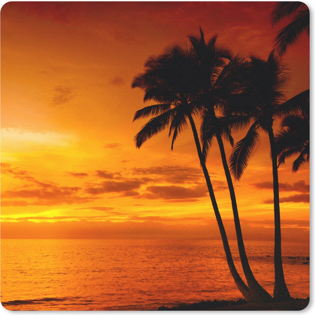 Muismat 20x20 cm - Mousepad Palmboom - Zonsondergang - Tropisch - Oranje - Zee - Muismatten