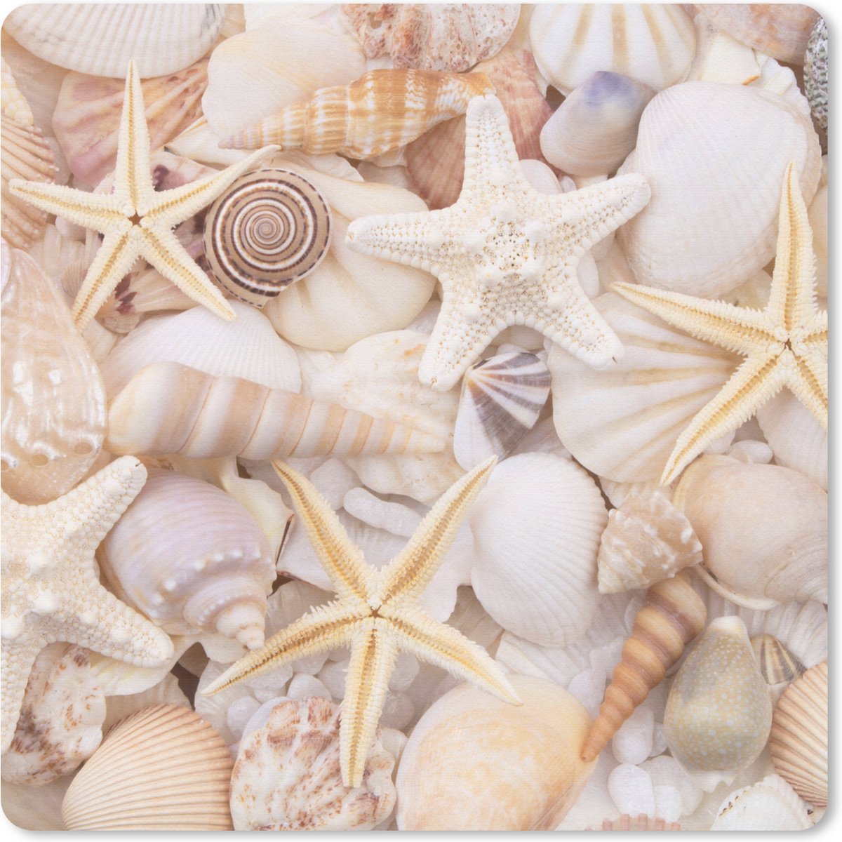 Muismat 20x20 cm - Mousepad Zeesterren - Schelpen - Strand - Zomer - Muismatten