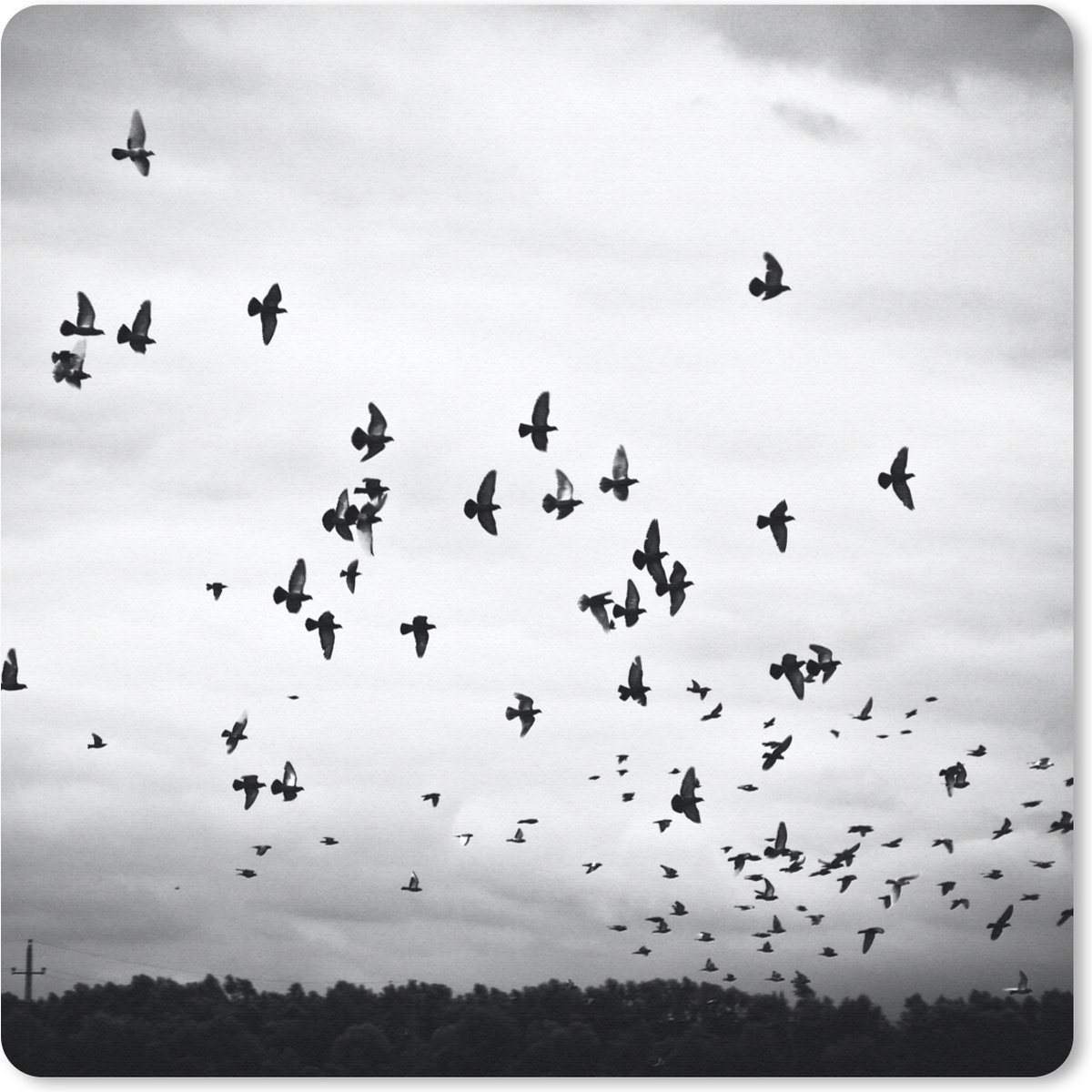 Muismat 20x20 cm - Mousepad Dieren - Vogels - Wolken - Zwart - Wit - Muismatten