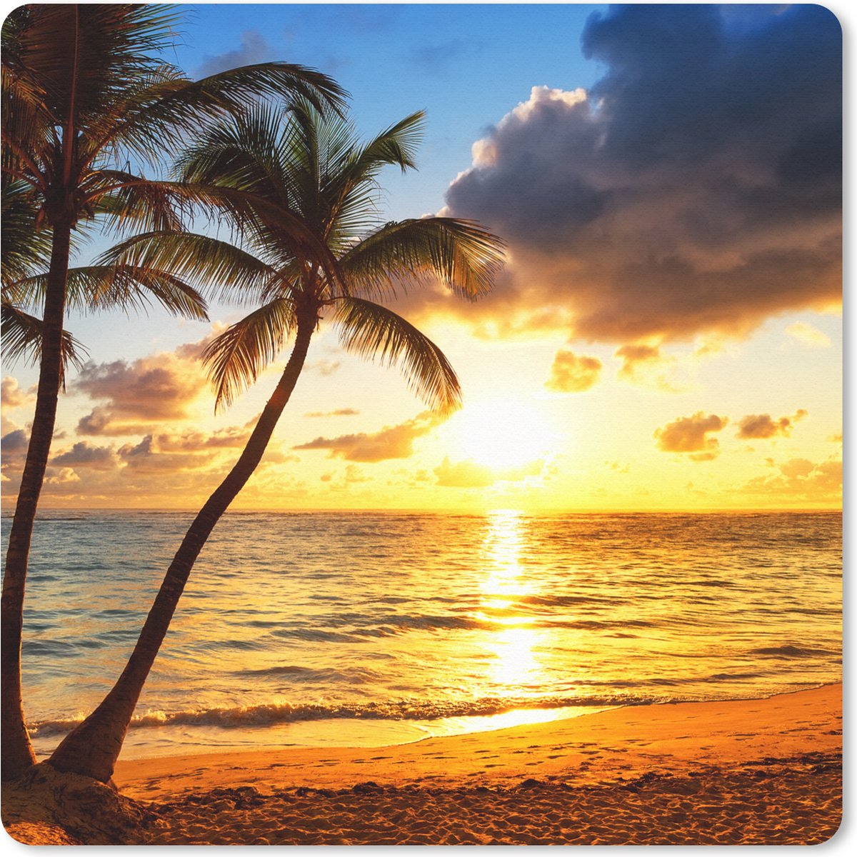 Muismat 20x20 cm - Mousepad Strand - Horizon - Zonsondergang - Palmboom - Zee - Muismatten