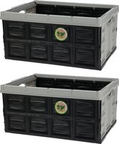 Storage Solutions Inklapbare boodschappenkratten - 2x stuks - Gerecycled kunststof - 45L