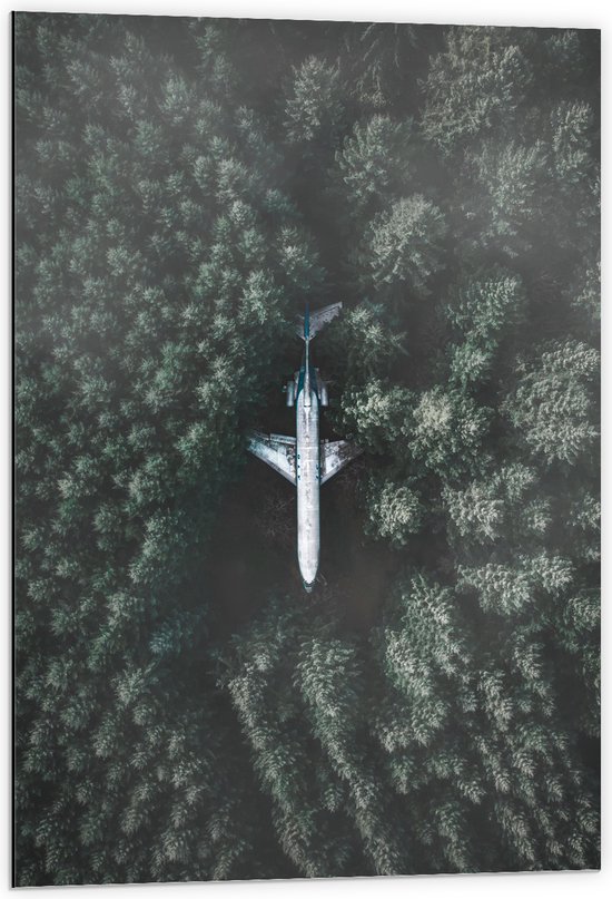 WallClassics - Dibond - Neergestort Vliegtuig in Bos - 60x90 cm Foto op Aluminium (Wanddecoratie van metaal)