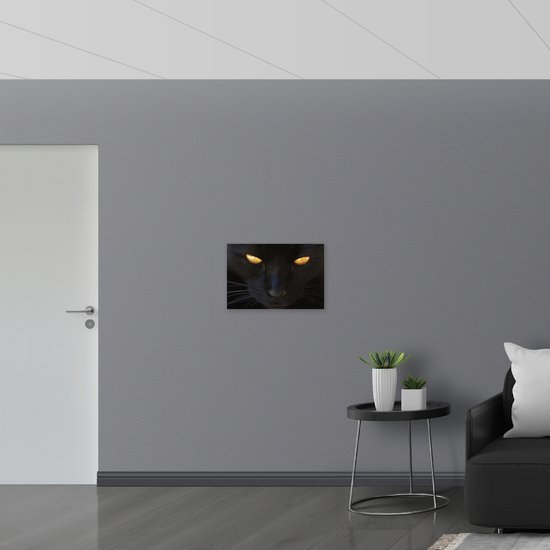 WallClassics - Panneau en mousse PVC - Chat noir a l'air en colère - Photo 60x40 cm sur panneau en mousse PVC (avec système de suspension)