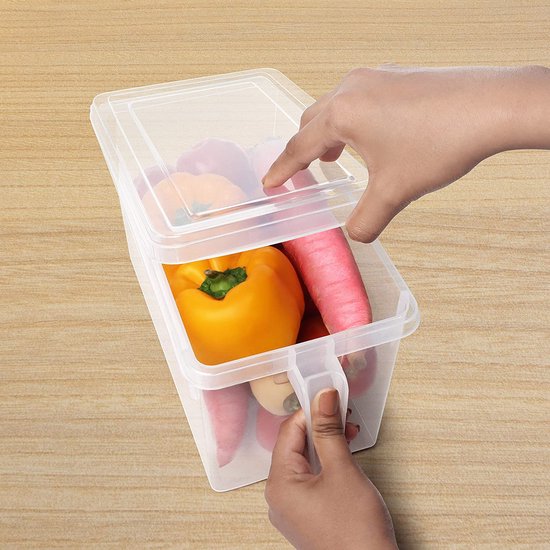 Plastic Opbergbox met Vakjes 4 Liter Really Useful Box