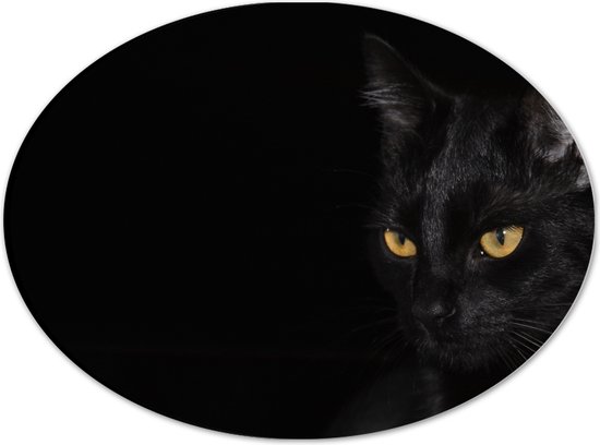 WallClassics - Dibond Ovaal - Zwarte Kat met Zwarte Achtergrond - 28x21 cm Foto op Ovaal (Met Ophangsysteem)