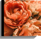 WallClassics - Canvas  - Close-up van Oranje Pioenrozen - 30x30 cm Foto op Canvas Schilderij (Wanddecoratie op Canvas)