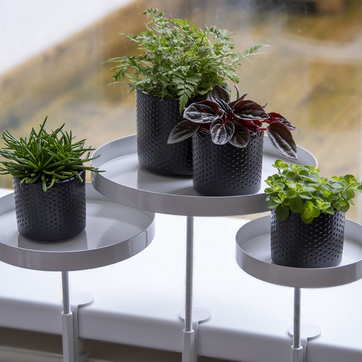 Doccia Solare Jolly Plus B520 In PVC Da 24 Litri Con Lavapiedi Antracite 84680750 - Foto 6