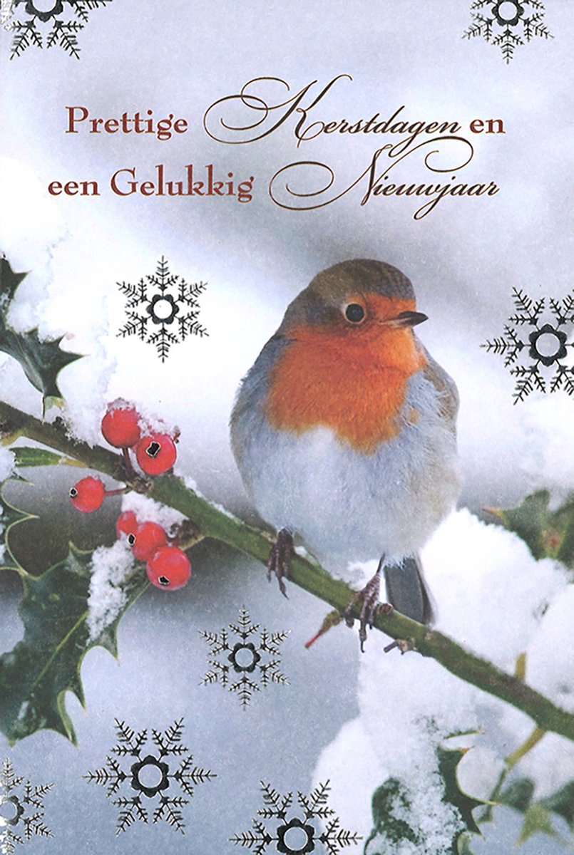 MGPcards - 6 Luxe dubbele Kerstkaarten - Foliedruk - Gekleurde envelop - 11,5 x 17 cm