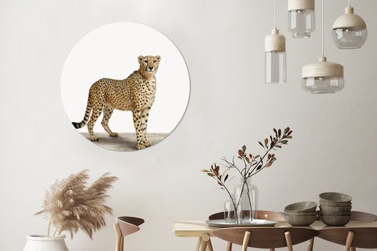 Cheetah Animal Print Nursery Wall Circle Assiette en plastique ⌀ 90 cm - impression photo sur cercle mural / cercle vivant (décoration murale)