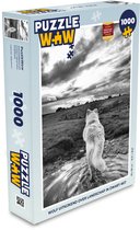 Puzzel Wolf uitkijkend over landschap in zwart-wit - Legpuzzel - Puzzel 1000 stukjes volwassenen