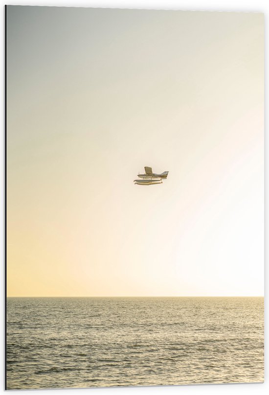 WallClassics - Dibond - Klein Vliegtuig boven het Zeewater - 60x90 cm Foto op Aluminium (Met Ophangsysteem)