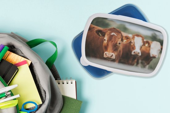 Lunchbox Blauw - Lunchbox - Boîte à pain - Vaches - Herbe - Clôture - 18x12x6 cm - Enfants - Garçon