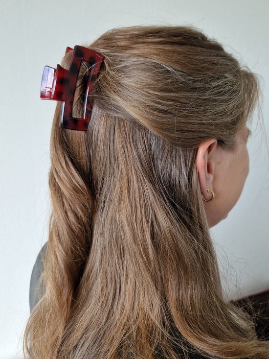 Les cheveux en l'air! - Barrette - Rouge - Barrette - Accessoires de  vêtements pour... | bol.com