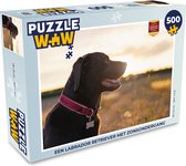Puzzel Een Labrador Retriever met zonsondergang - Legpuzzel - Puzzel 500 stukjes