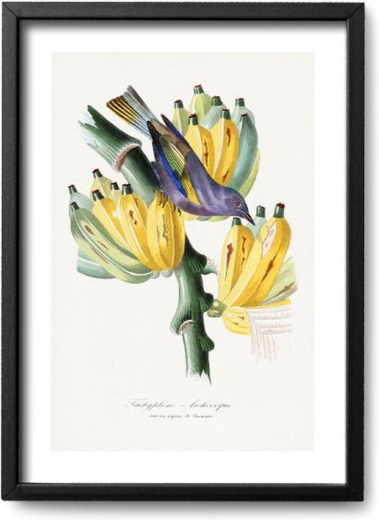 Freyheit Poster Da Viaggio Di Alta Qualità – Colorato – DIN A4 (21 X 30 Cm) – Senza Cornice