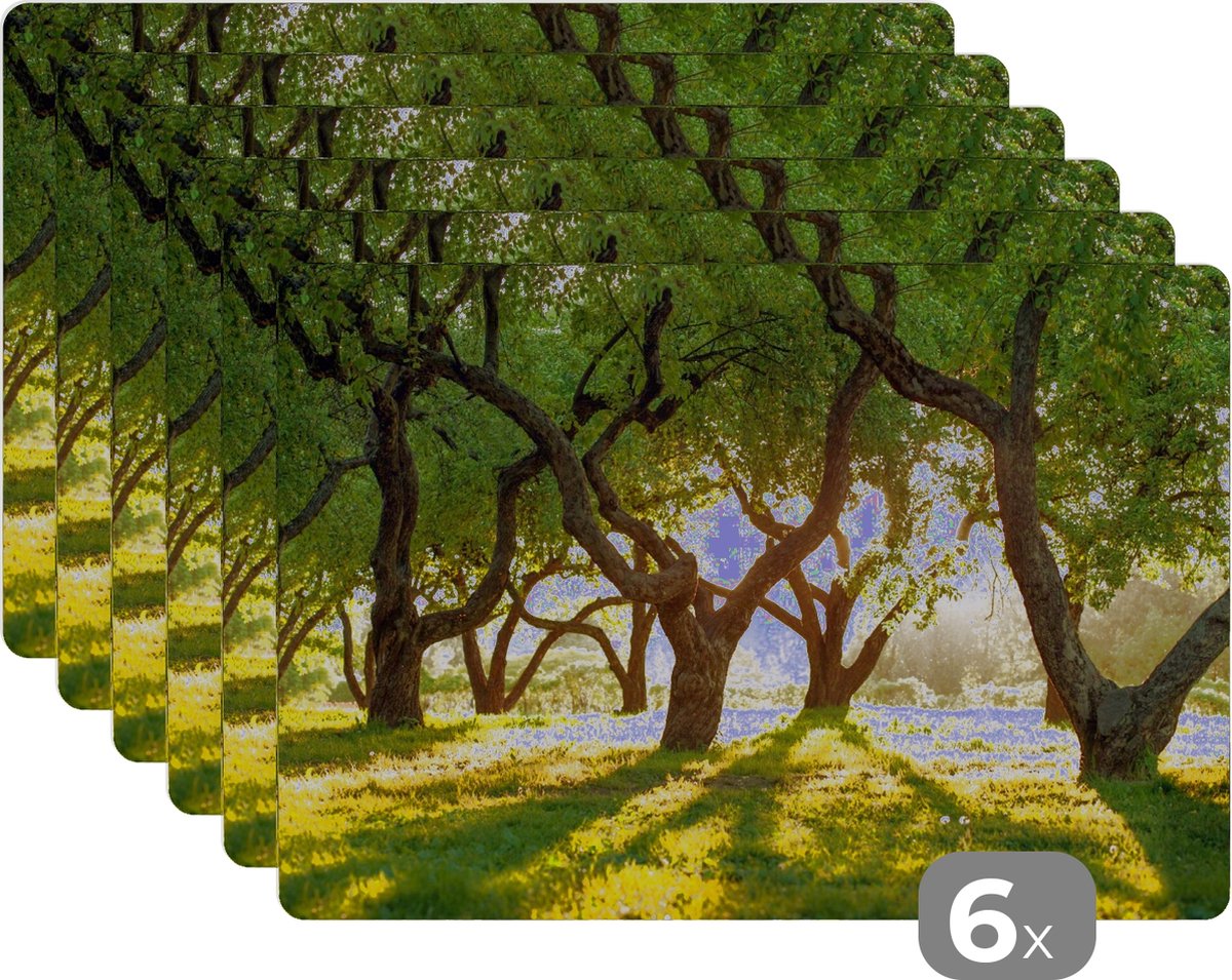 Placemat - Placemats kunststof - Bomen - Natuur - Zon - 45x30 cm - 6 stuks - Hittebestendig - Anti-Slip - Onderlegger - Afneembaar