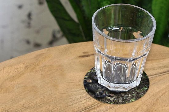 Sous-verres verres à verres - Ronds - Singes - Endormis - Forêt - 10x10 cm - Sous-verres en verre - 6 pièces