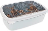 Broodtrommel Wit - Lunchbox - Brooddoos - Hert - Winter - Sneeuw - Bosdieren - Bos - Natuur - 18x12x6 cm - Volwassenen