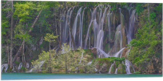 WallClassics - Drapeau - Belle Cascade dans la Forêt - Photo 100x50 cm sur Drapeau Polyester