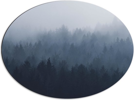 WallClassics - Dibond Ovaal - Bos in de Mist - 68x51 cm Foto op Ovaal (Met Ophangsysteem)