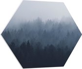 WallClassics - PVC Schuimplaat Hexagon  - Bos in de Mist - 80x69.6 cm Foto op Hexagon (Met Ophangsysteem)