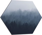 WallClassics - Dibond Hexagon - Bos in de Mist - 70x60.9 cm Foto op Hexagon (Met Ophangsysteem)