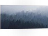 WallClassics - PVC Schuimplaat- Bos in de Mist - 100x50 cm Foto op PVC Schuimplaat